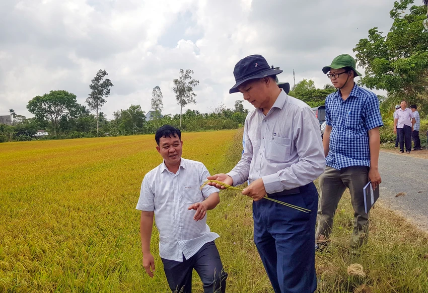 Ông Trần Văn Lâu, Chủ tịch UBND tỉnh Sóc Trăng, kiểm tra tình hình hạn, mặn trên địa bàn tỉnh. Ảnh: AH